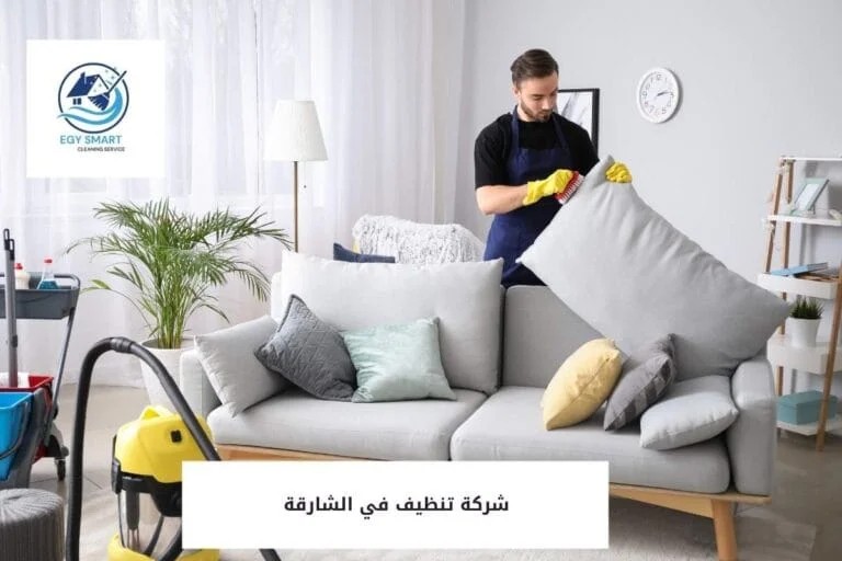 شركة تنظيف في الشارقة