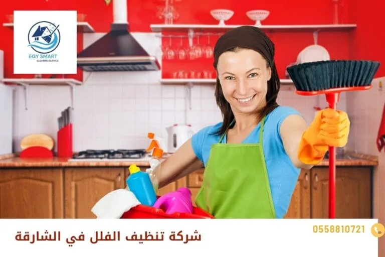 شركة تنظيف الفلل في الشارقة
