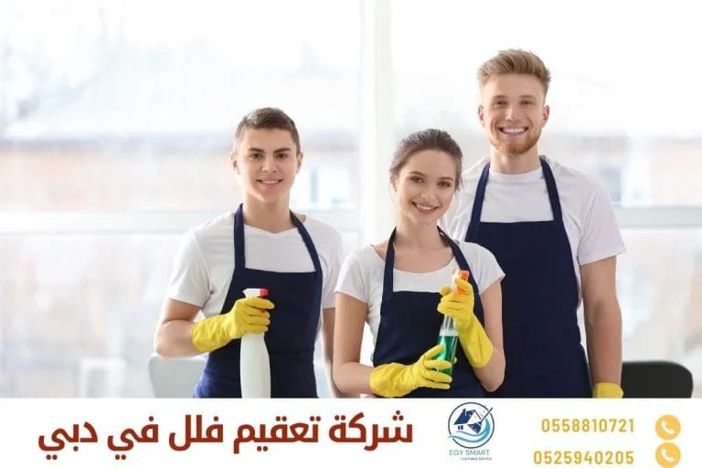 شركة تعقيم فلل في دبي