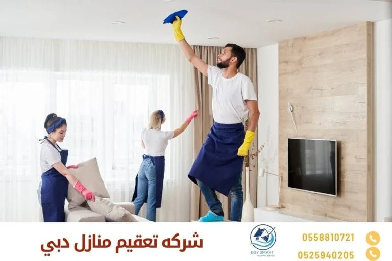 شركه تعقيم منازل دبي