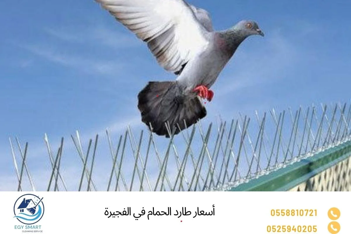 أسعار طارد الحمام في الفجيرة