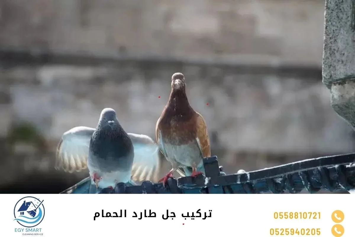 تركيب جل طارد الحمام