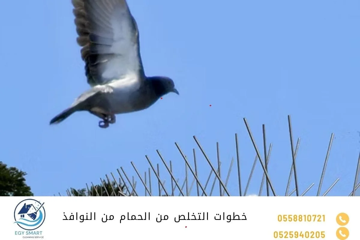 خطوات التخلص من الحمام من النوافذ