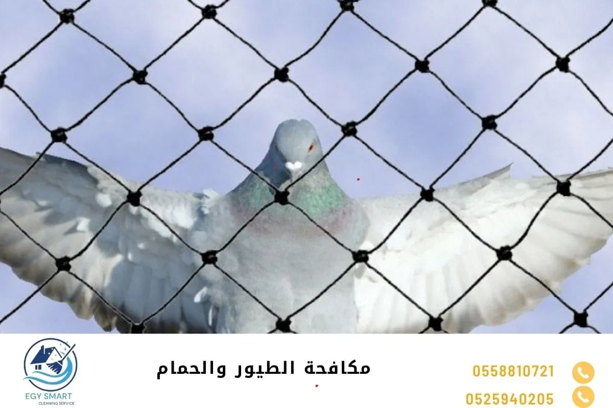 مكافحة الطيور والحمام