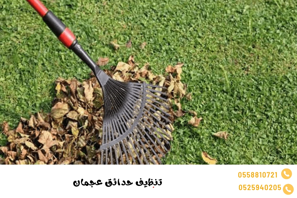تنظيف حدائق عجمان
