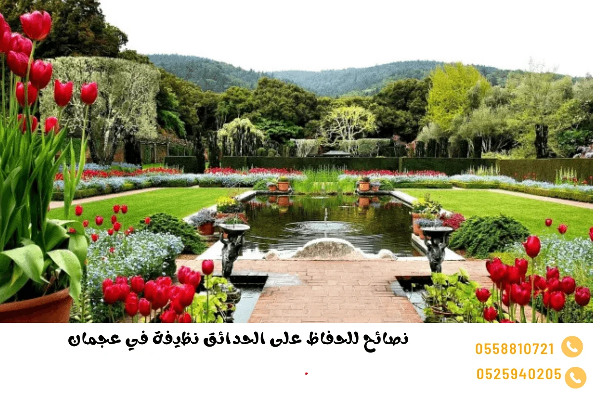 نصائح للحفاظ على الحدائق نظيفة في عجمان