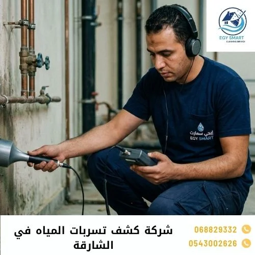 شركة كشف تسربات المياه في الشارقة
